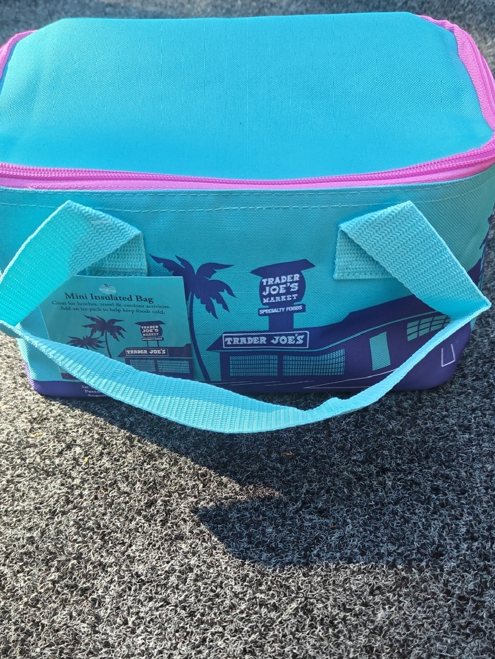 Trader Joe's Mini Blue Insulated Bag